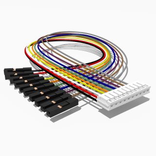 Adapterkabel JST PH auf Dupont 10 polig 30 cm AWG 26